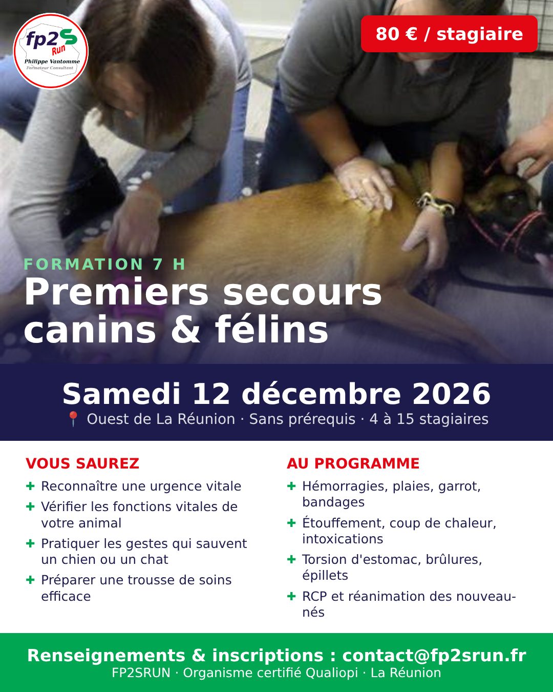 Affiche de la formation premiers secours canins et félins du 12 décembre 2026